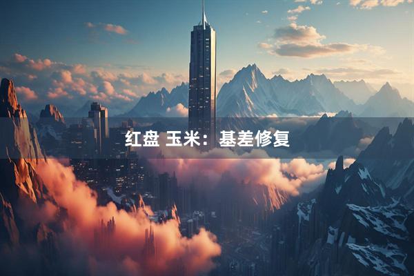 红盘 玉米：基差修复