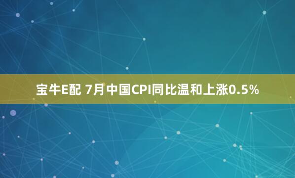 宝牛E配 7月中国CPI同比温和上涨0.5%